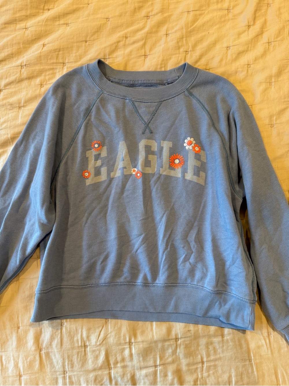 American Eagle Light Blue Crewneck Sweatshirt